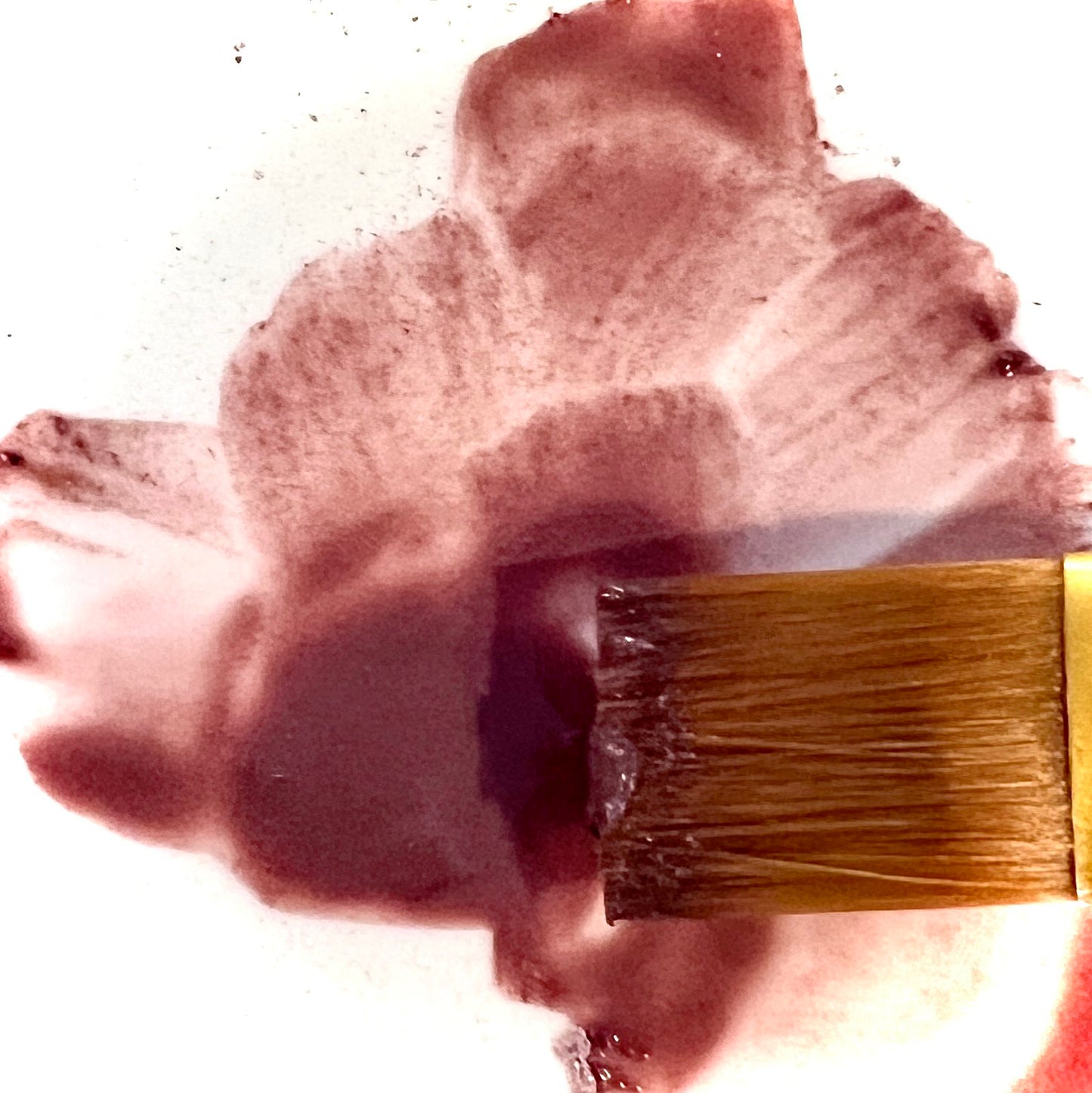 Hibiscus & Honey 
Clay Mask